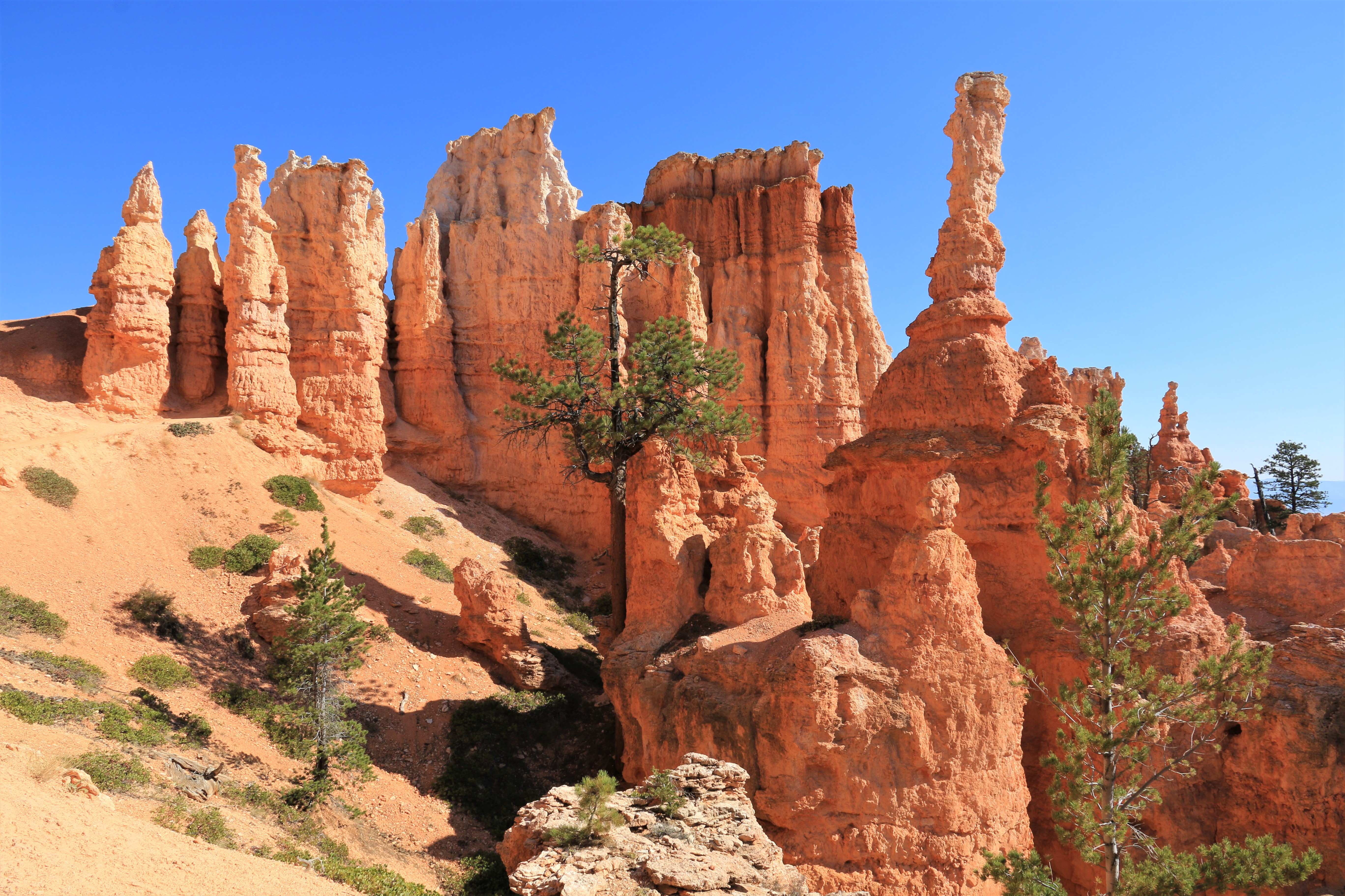 Bryce Canyon NP